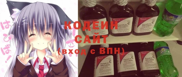 шишки Магас