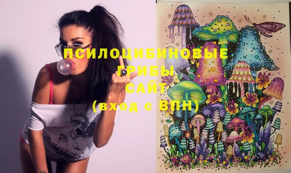 mdma Заводоуковск