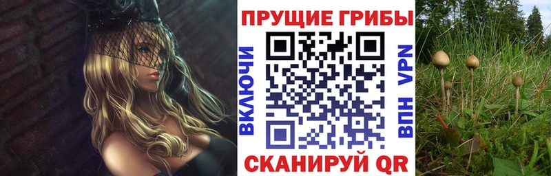 blacksprut Каменск-Уральский Галлюциногенные грибы мицелий